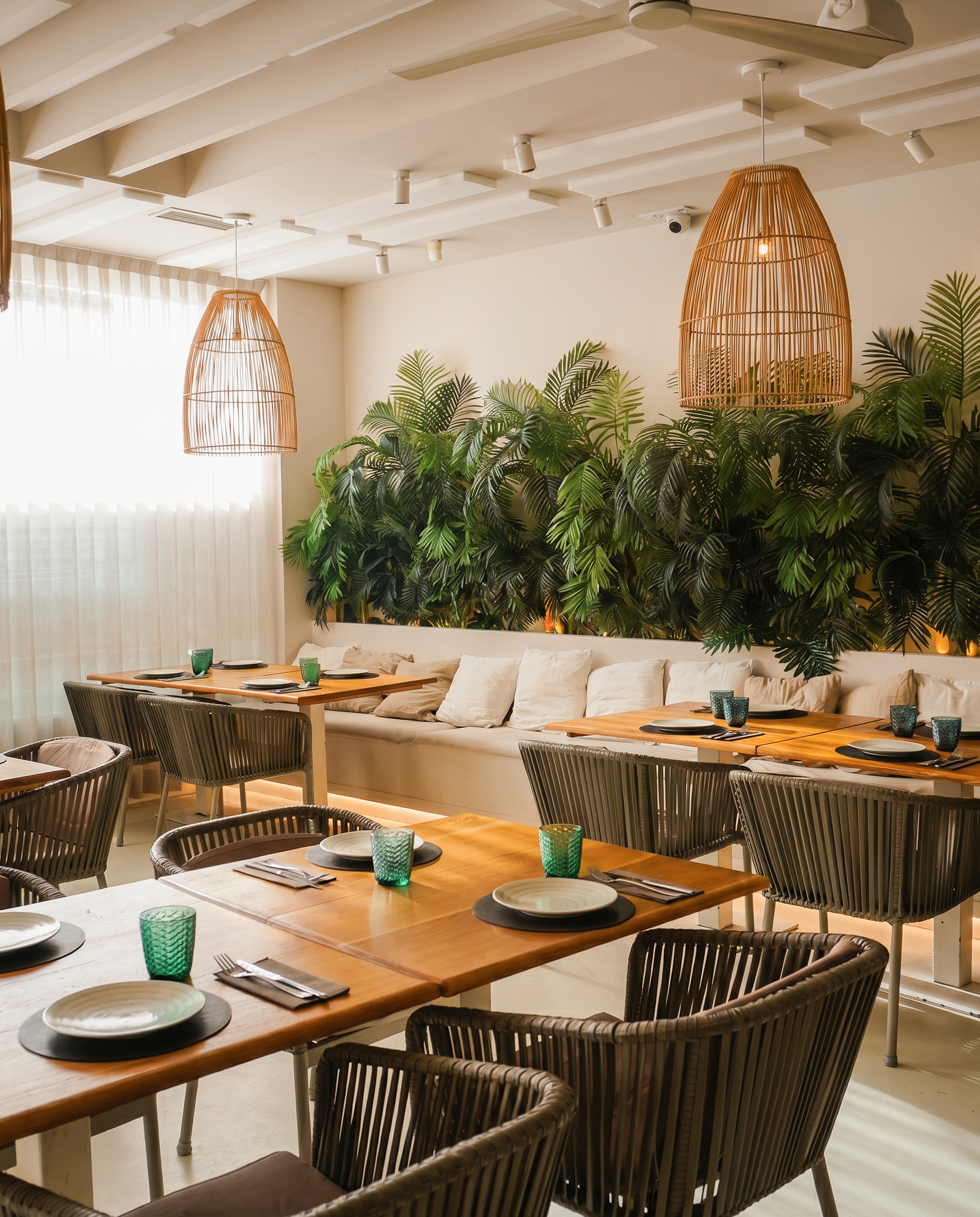 Sala interior de LIA con plantas, mimbre y luz natural